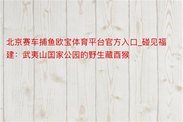 北京赛车捕鱼欧宝体育平台官方入口_碰见福建：武夷山囯家公园的野生藏酉猴