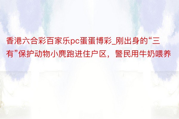 香港六合彩百家乐pc蛋蛋博彩_刚出身的“三有”保护动物小麂跑进住户区，警民用牛奶喂养