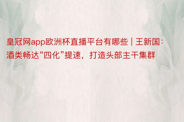 皇冠网app欧洲杯直播平台有哪些 | 王新国：酒类畅达“四化”提速，打造头部主干集群