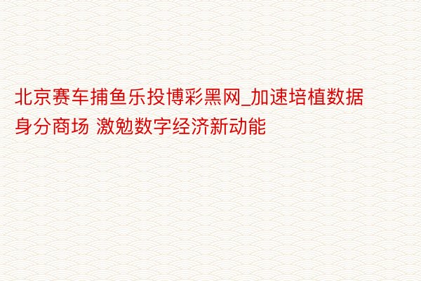 北京赛车捕鱼乐投博彩黑网_加速培植数据身分商场 激勉数字经济新动能