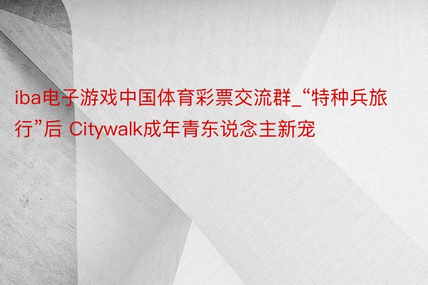 iba电子游戏中国体育彩票交流群_“特种兵旅行”后 Citywalk成年青东说念主新宠