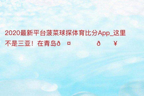 2020最新平台菠菜球探体育比分App_这里不是三亚！在青岛